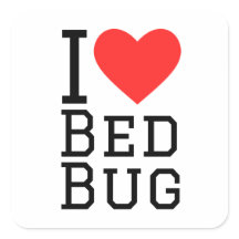 J'adore les insectes sur le lit