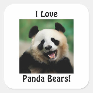 Sticker Carré J'adore les pandas
