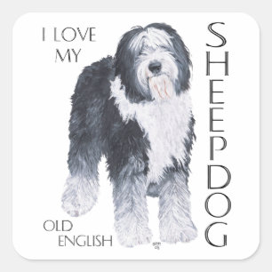 Sticker Carré J'adore mon vieux chien de berger anglais