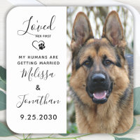 J'Ai Aimé Son Premier Mariage De Chien Pour Animau