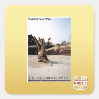 Sticker Carré J'ai des pattes de shaolin de fureur