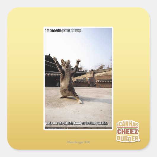 Sticker Carré J'ai des pattes de shaolin de fureur (Devant)