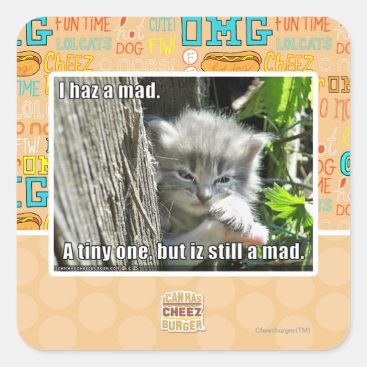 Sticker Carré J'ai un fou (Devant)