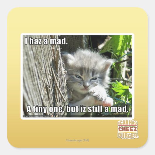 Sticker Carré J'ai un fou (Devant)