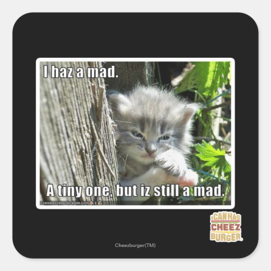 Sticker Carré J'ai un fou (Devant)