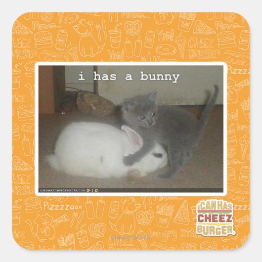 Sticker Carré J'ai un lapin (Devant)