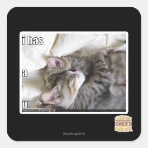 Sticker Carré J'ai un u