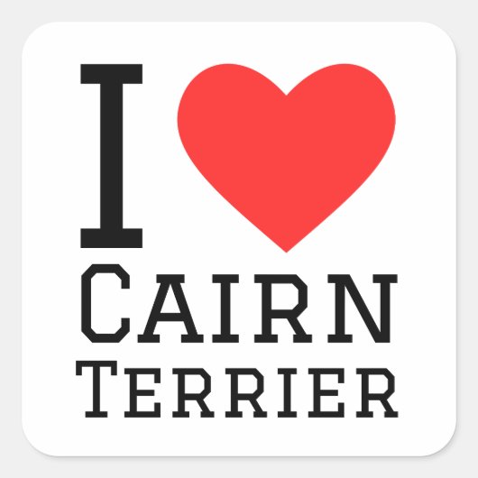 Sticker Carré J'aime le cairn terrier (Devant)