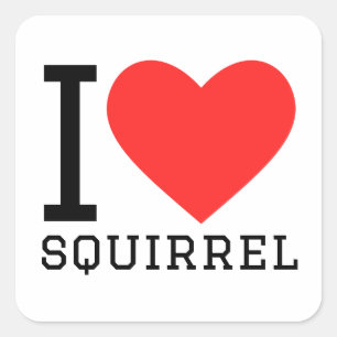 Sticker Carré J'aime l'écureuil