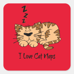 Sticker Carré J'Aime Les Naps De Chat,
