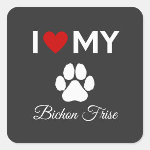Sticker Carré J'aime mon Bichon Frise chien texte personnalisé