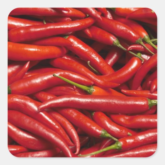 Sticker Carré Jalapenos (Devant)