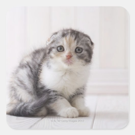 Sticker Carré Japon 5 (Devant)