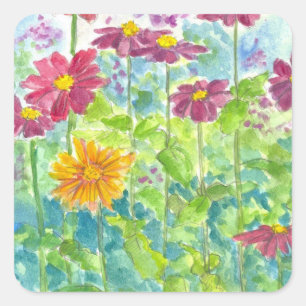Sticker Carré Jardin d'aquarelle rose Zinnia Fleur sauvage