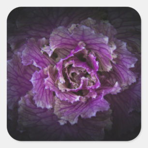 Sticker Carré Jardin Fleurs No 42 Version couleur