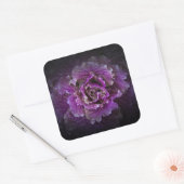 Sticker Carré Jardin Fleurs No 42 Version couleur (Enveloppe)