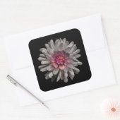 Sticker Carré Jardin Fleurs No 91 Version couleur (Enveloppe)