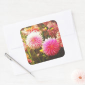 Sticker Carré Jardin romantique rose Dahlia (Enveloppe)
