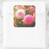 Sticker Carré Jardin romantique rose Dahlia (Sac)