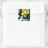 Sticker Carré Jaune Daffodils fleurs dans la neige (Sac)