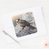 Sticker Carré Jay gris de Brooks dans la neige (Enveloppe)