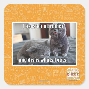 Sticker Carré Je demande à un frère