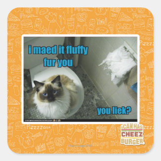 Sticker Carré Je l'ai fait peluche fourrure vous