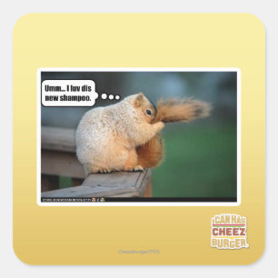 Sticker Carré Je luv dis nouveau shampooing