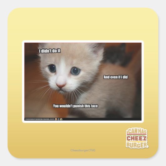 Sticker Carré Je ne l'ai pas fait. (Devant)