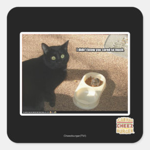 Sticker Carré Je ne sais pas que vous vous êtes inquiétés