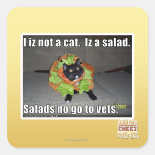 Sticker Carré Je ne suis pas un chat. Iz une salade.