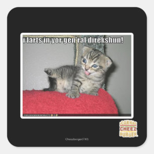 Sticker Carré Je pète dans ton gen'ral direkshun