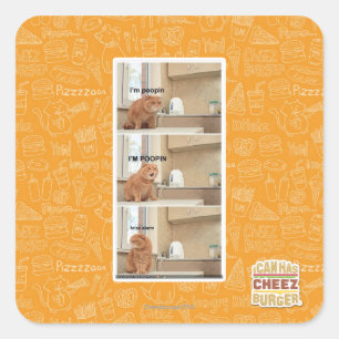 Sticker Carré Je suis de la foutaise !