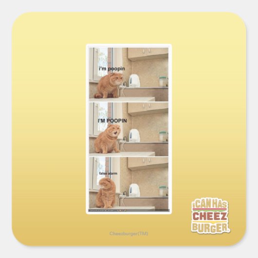 Sticker Carré Je suis de la foutaise ! (Devant)