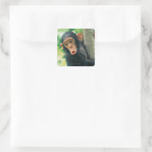 Sticker Carré Jeune chimpanzé (poitrine troglodytique) (Sac)