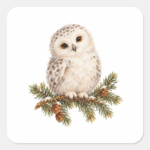Sticker Carré Jeune Hibou Blanc dans un Sapin