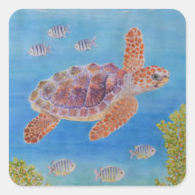 Jeune tortue marine caouanne