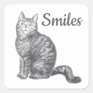 Sticker Carré Joli Chat Gris Argent Tabby Chat Chaton Bonjour Am