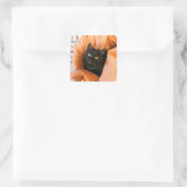 Sticker Carré Joli Chat Noir (Sac)