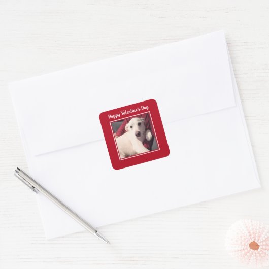 Sticker Carré Joli Chien Joyeuse Saint-Valentin (Enveloppe)
