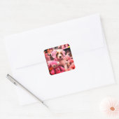Sticker Carré Joli chiot (Enveloppe)