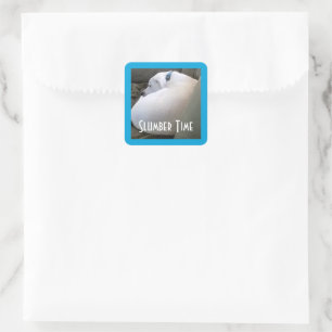 Sticker Carré Joli Chubby White Sleeping Chien Chien Chien Stwoo