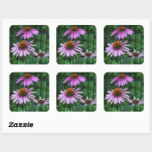 Sticker Carré Joli Conflowers violets Floral (Feuille)