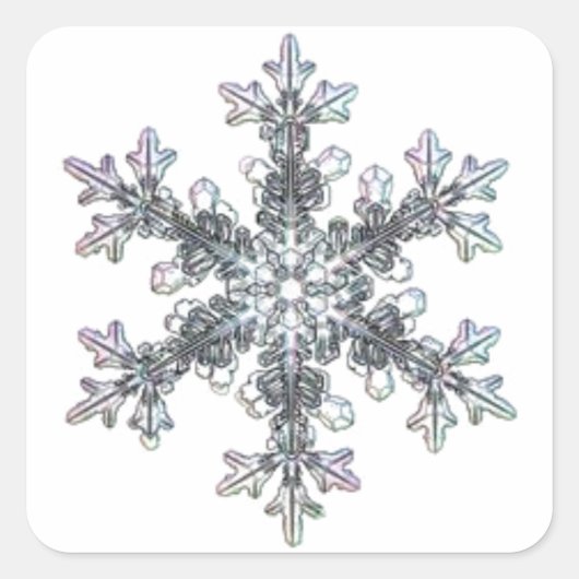 Sticker Carré Joli flocon de neige simple (Devant)