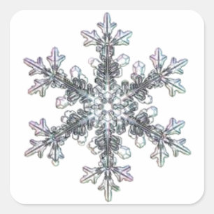 Sticker Carré Joli flocon de neige simple