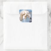 Sticker Carré Joli lapin blanc et brun flamand (Sac)