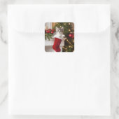 Sticker Carré Joli Noël Kitten (Sac)