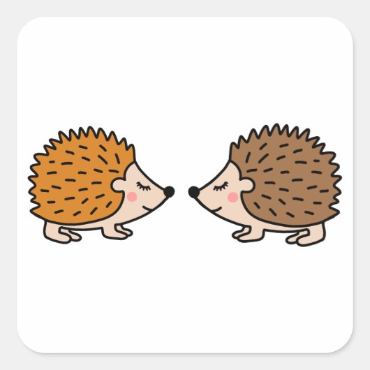 Sticker Carré Joli petit hérisson dessiné à la main (Devant)