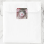 Sticker Carré Joli Rat Dumbo (Sac)