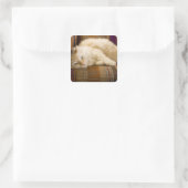 Sticker Carré Joli tabi chat jaune allongé sur un canapé. (Sac)